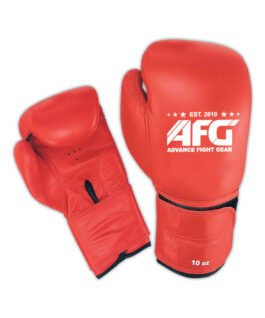 Boxing Gloves Made of Leather (  AF-209/BG)