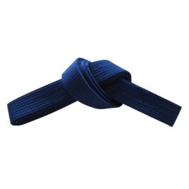 Karate Belt AF-03-804